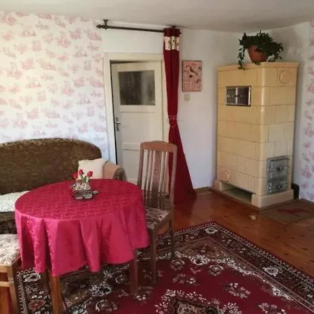Apartment Familienfreundliche Gemuetliche In Luchau Mit Garten Und Grill - Glashutte (Saxony)