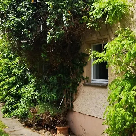 Apartment Familienfreundliche Gemuetliche In Luchau Mit Garten Und Grill - *